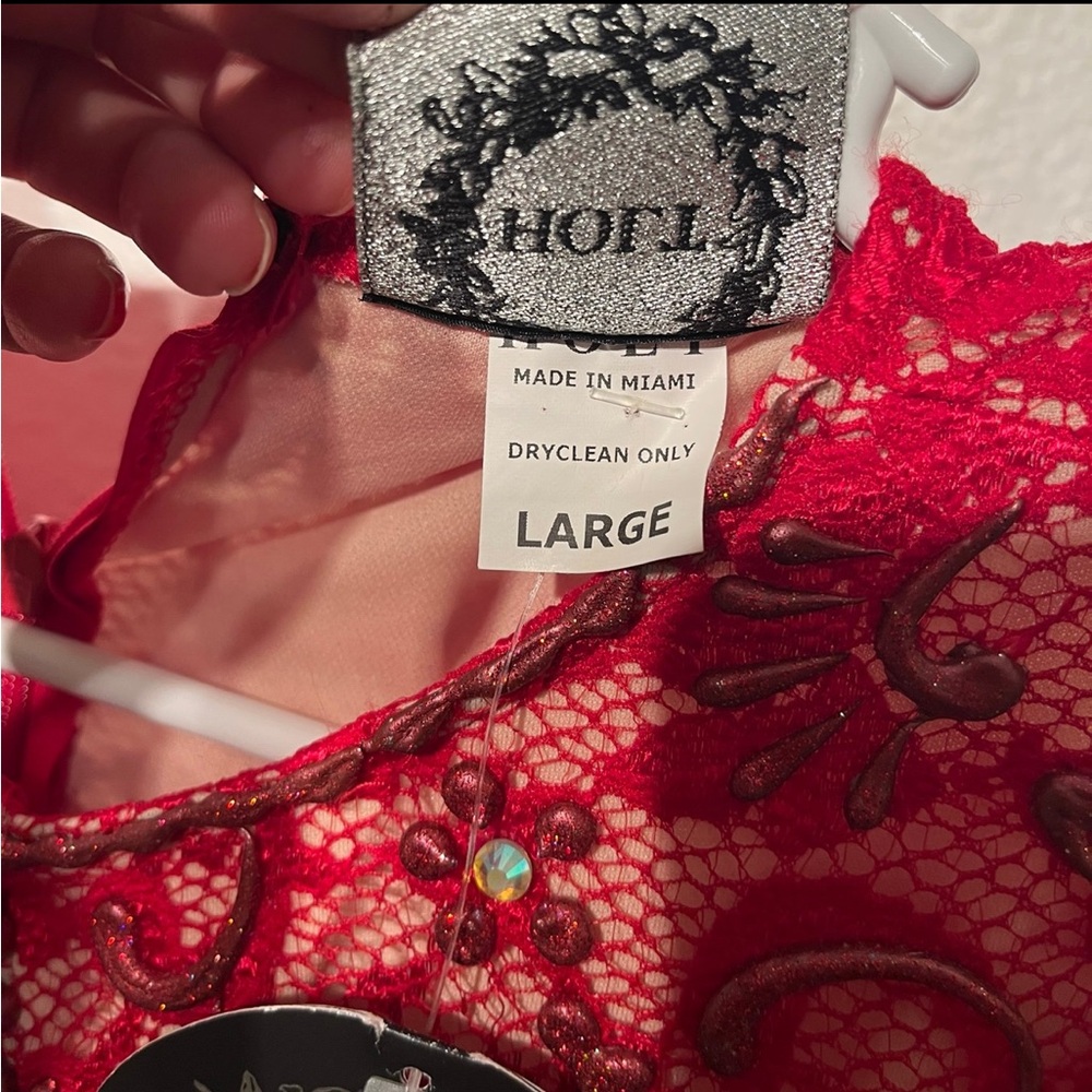 Holt Miami Maison De Luxe Hand Painted Red Mini Dress - Picture 5 of 5